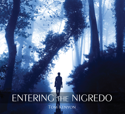  Tom Kenyon – Entering The Nigredo 