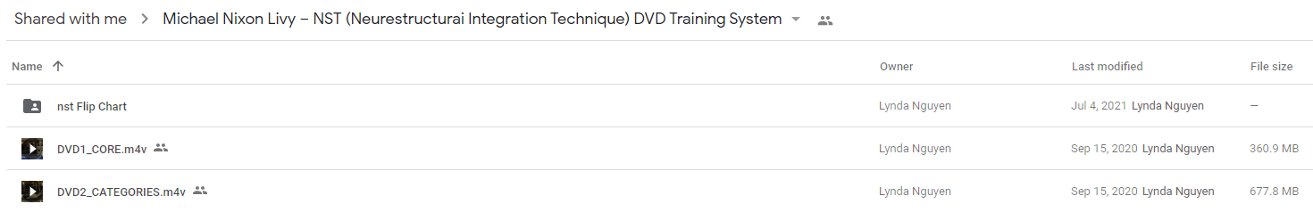  Michael Nixon Livy – NST (Neurestructurai Integration Technique) DVD Training System 