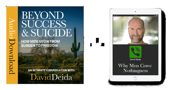  David Deida – Beyond Success and Suicide Package